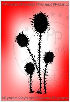 Stachelblumen