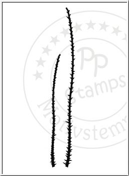 Stachelstengel