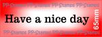 Have a nice day