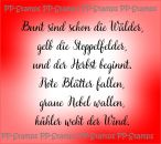 Bunt sind schon die Wälder