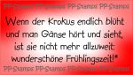 Wenn der Krokus...